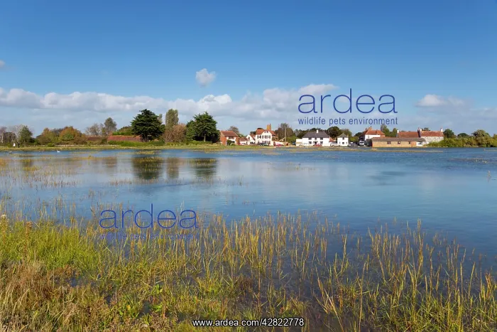 : Pagham Harbour - Sidlesham Quay : Pagham Harbour - Sidlesham Quay