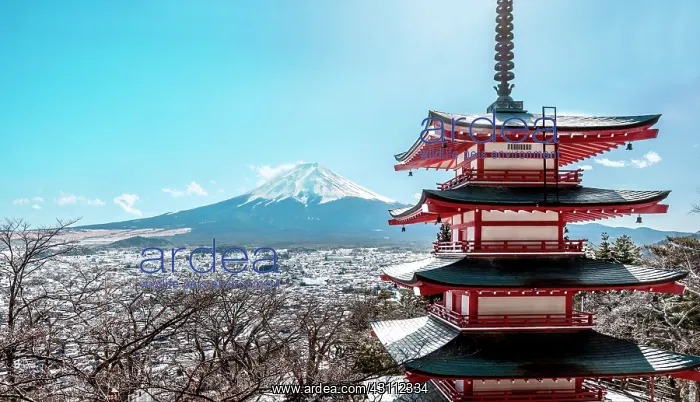 : Pagoda at five levels : Pagoda at five levels
