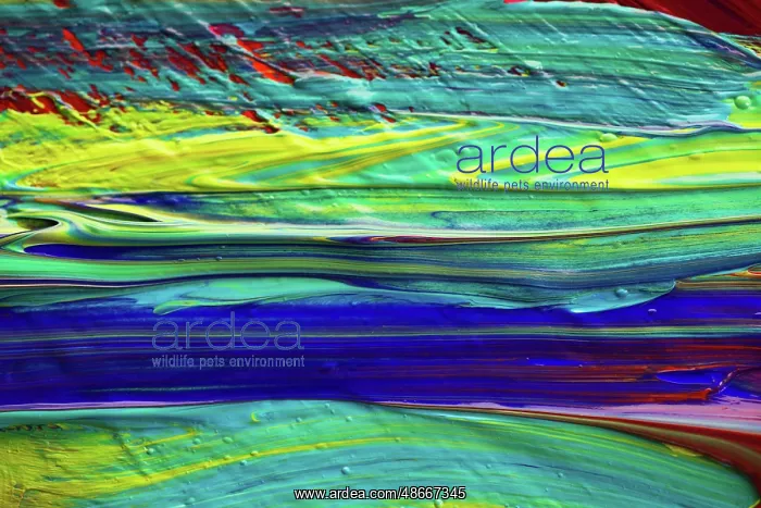 : Painted abstract : Painted abstract