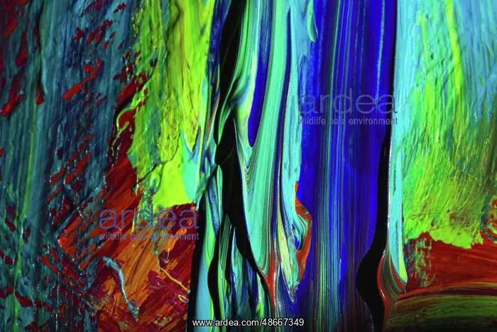 : Painted abstract : Painted abstract