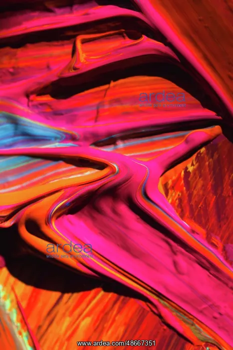 : Painted abstract : Painted abstract