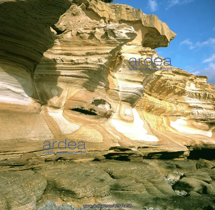 : Painted Cliffs, iron-stained Triassic sandstone : Painted Cliffs, iron-stained Triassic sandstone