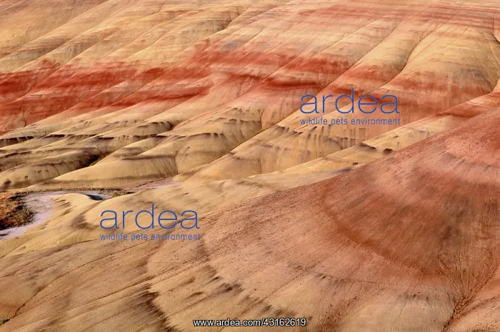 : Painted Hills : Painted Hills