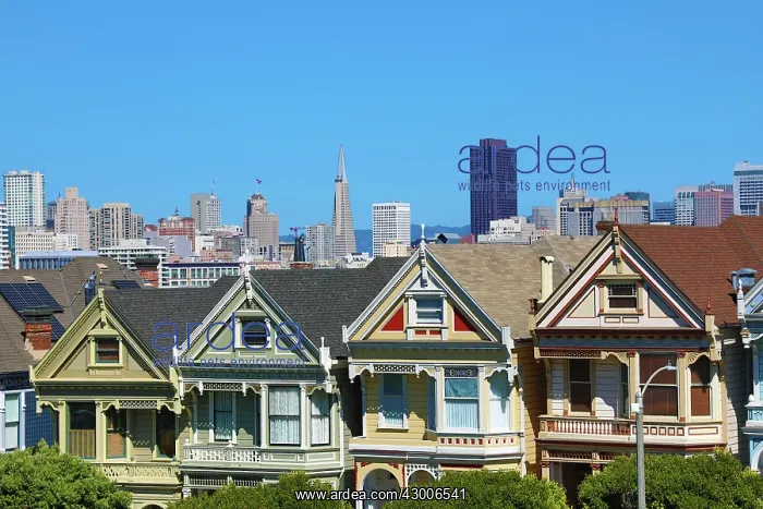  : Painted Ladies Victorian houses near Alamo Square