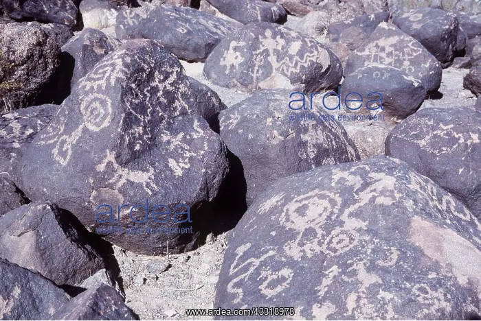 : PAINTED ROCK - Petroglyph Detail : PAINTED ROCK - Petroglyph Detail