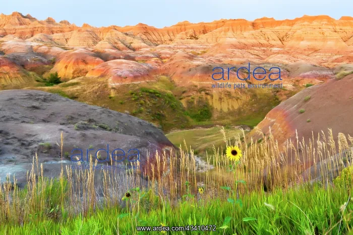 : A painterly image of softer hoodoos set against : A painterly image of softer hoodoos set against