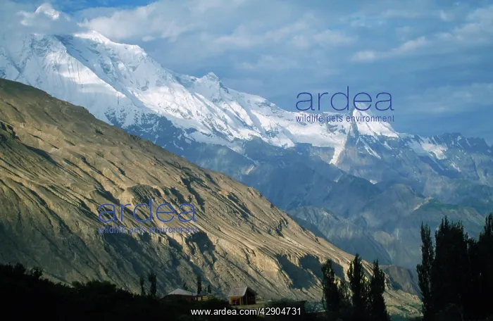 : Pakistan - Rakaposhi Mountain : Pakistan - Rakaposhi Mountain