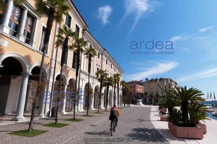  : Palace of the Magnifica Patria, Salo, Lago