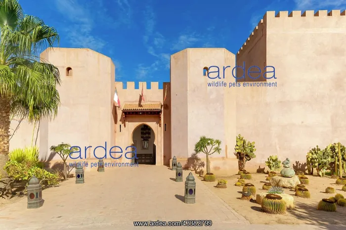 : Palais Claudio Bravo, Taroudant, Sous Valley, Morocco : Palais Claudio Bravo, Taroudant, Sous Valley, Morocco