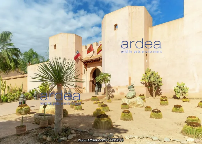 : Palais Claudio Bravo, Taroudant, Sous Valley, Morocco : Palais Claudio Bravo, Taroudant, Sous Valley, Morocco