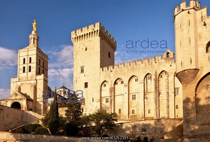 : The Palais des Papes (Pope's Palace), Avignon : The Palais des Papes (Pope's Palace), Avignon