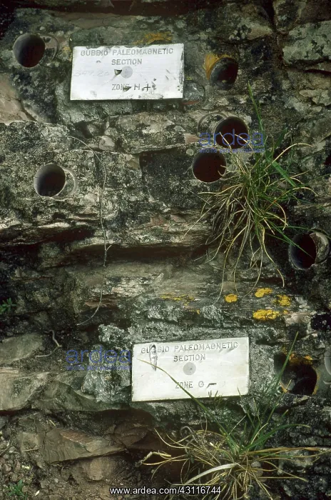 : Paleomagnetology : Paleomagnetology