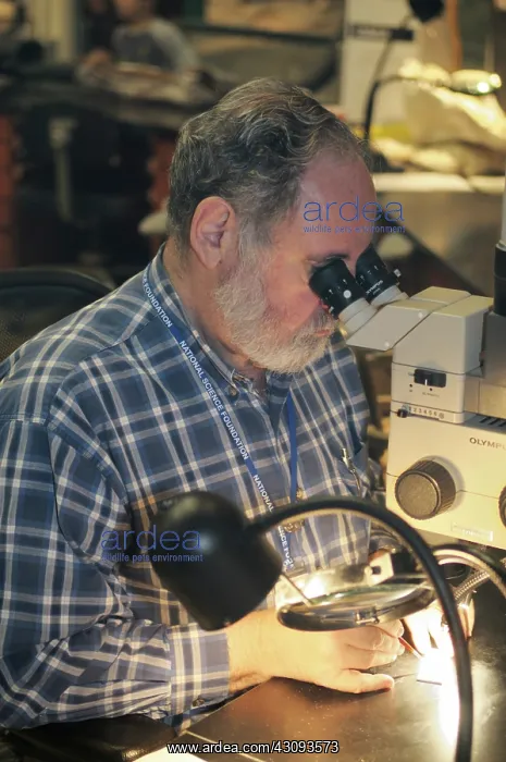 : Paleontologist : Paleontologist