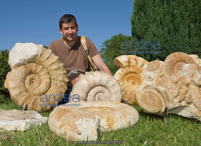 : Paleontologist / Palaeontologist Eric Depre among : Paleontologist / Palaeontologist Eric Depre among