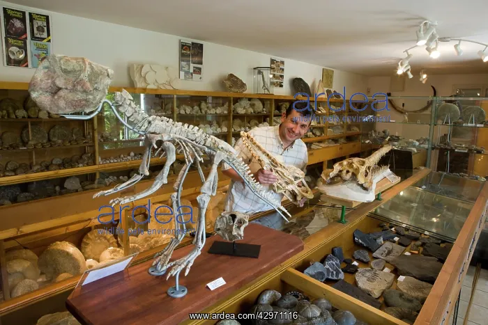: Paleontologist / Palaeontologist Eric Depren little museum : Paleontologist / Palaeontologist Eric Depren little museum