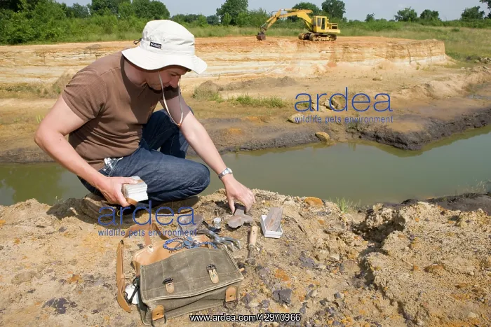 : Paleontology / Palaeontology - Eric Depre with : Paleontology / Palaeontology - Eric Depre with