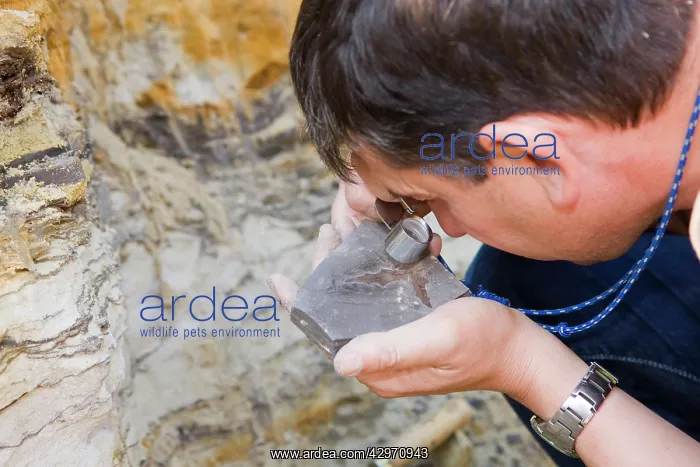 : Paleontology / Palaeontology - Eric Depre observing : Paleontology / Palaeontology - Eric Depre observing