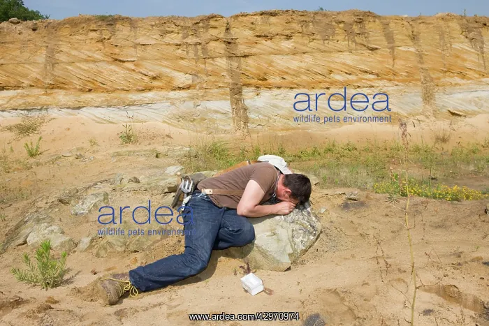 : Paleontology / Palaeontology - Eric Depre observing : Paleontology / Palaeontology - Eric Depre observing