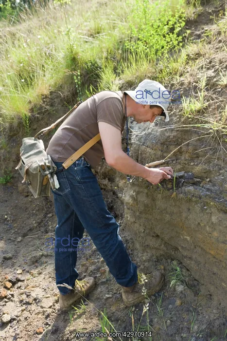 : Paleontology / Palaeontology - Eric Depre searching : Paleontology / Palaeontology - Eric Depre searching
