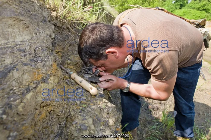 : Paleontology / Palaeontology - Eric Depre searching : Paleontology / Palaeontology - Eric Depre searching