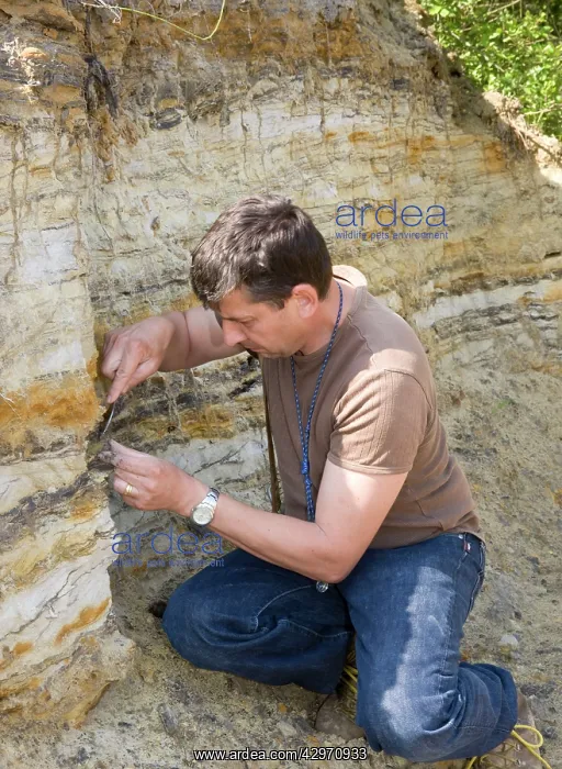 : Paleontology / Palaeontology - Eric Depre searching : Paleontology / Palaeontology - Eric Depre searching