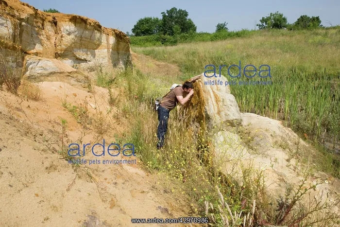 : Paleontology / Palaeontology - Eric Depre searching : Paleontology / Palaeontology - Eric Depre searching
