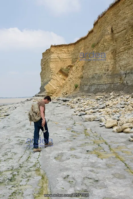: Paleontology / Palaeontology - Eric Depre searching : Paleontology / Palaeontology - Eric Depre searching