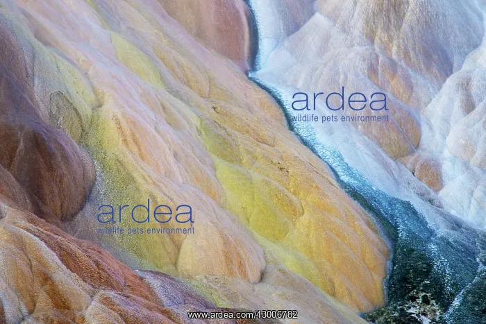  : Palette Spring shapes and colours formed by mineralsMammoth