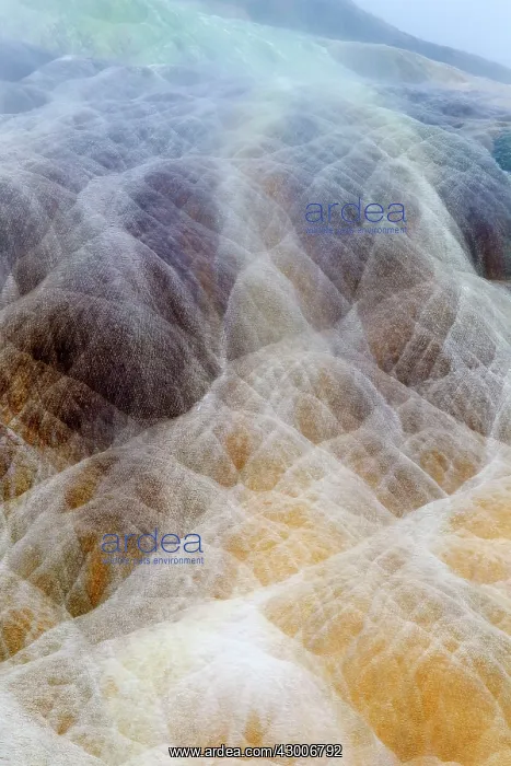  : Palette Spring shapes and colours formed by mineralsMammoth