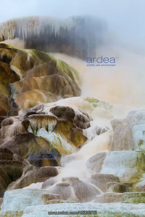  : Palette Spring water overflowing from undergroundMammoth