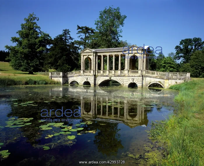 : The Palladian Bridge : The Palladian Bridge