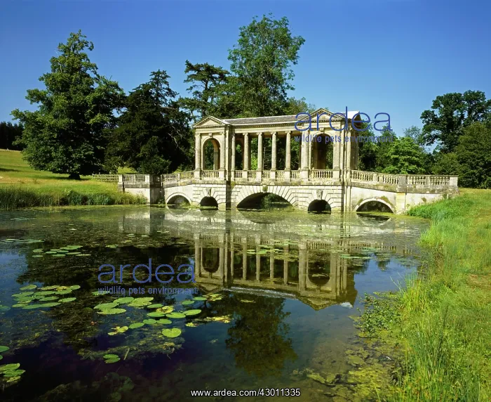 : The Palladian Bridge landscape gardens Stowe, Buckinghamshir : The Palladian Bridge landscape gardens Stowe, Buckinghamshir