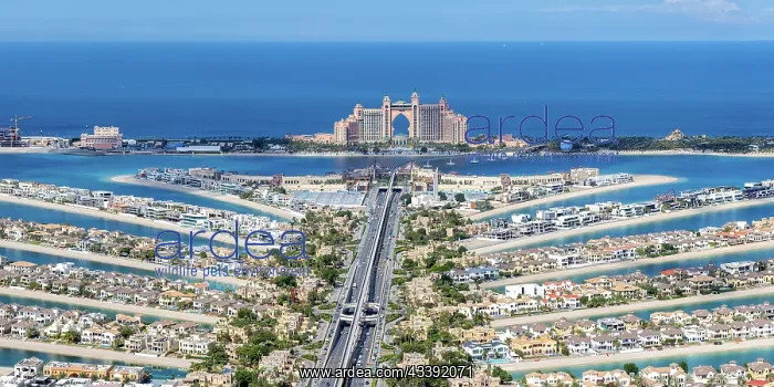 : The Palm Jumeirah with Atlantis Hotel artificial : The Palm Jumeirah with Atlantis Hotel artificial