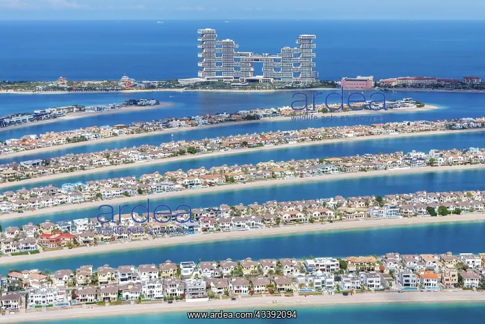 : The Palm Jumeirah with Atlantis The Royal Hotel : The Palm Jumeirah with Atlantis The Royal Hotel
