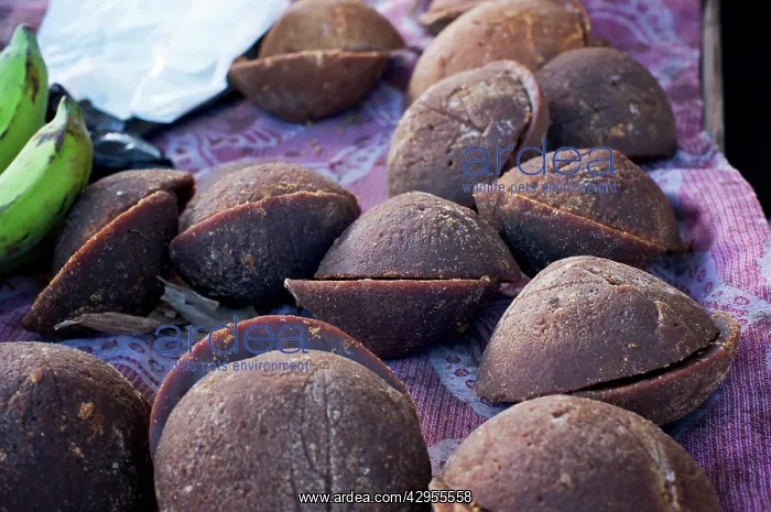 : Palm sugar - Tomohon Market : Palm sugar - Tomohon Market