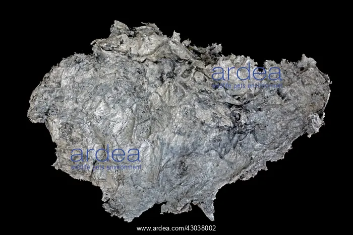 : Palygorskite / Attapulgite Medlin falls, Washington : Palygorskite / Attapulgite Medlin falls, Washington