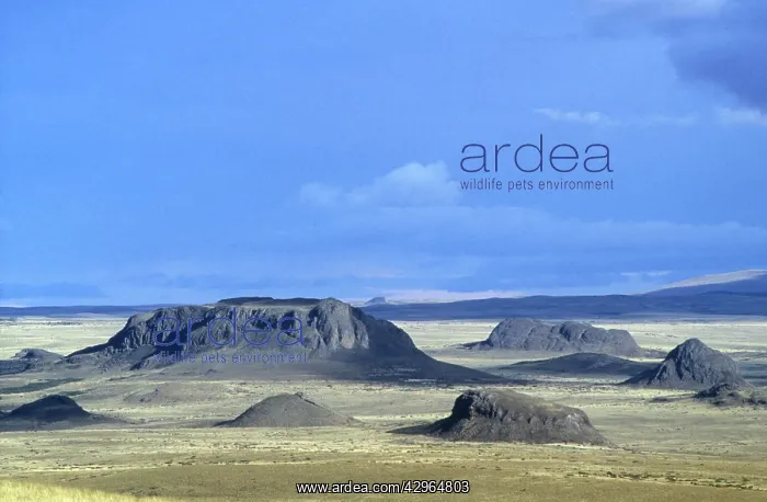 : Pampas. Cordon del Cherque - South America - Argentina : Pampas. Cordon del Cherque - South America - Argentina