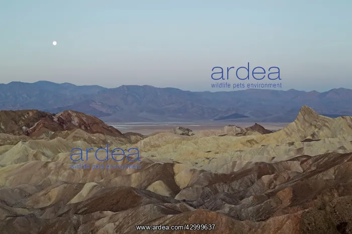 : Panamint Range and the Death Valley - with almost : Panamint Range and the Death Valley - with almost
