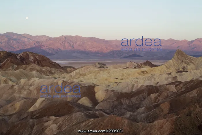 : Panamint Range and the Death Valley - with almost : Panamint Range and the Death Valley - with almost