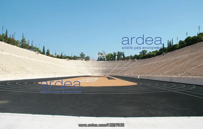 : The Panathinaiko or Panathenaic Stadium : The Panathinaiko or Panathenaic Stadium