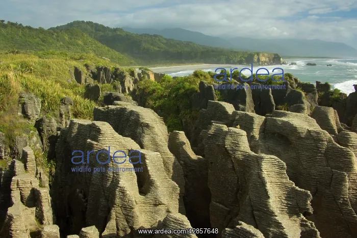 : Pancake Rocks - famous flat limestone rock formations : Pancake Rocks - famous flat limestone rock formations