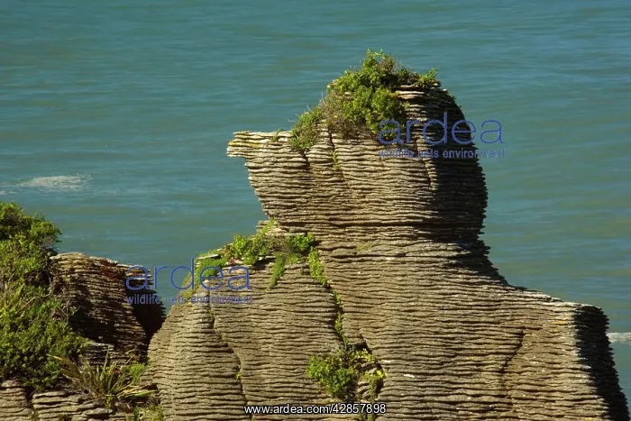 : Pancake Rocks - famous flat limestone rock formations : Pancake Rocks - famous flat limestone rock formations
