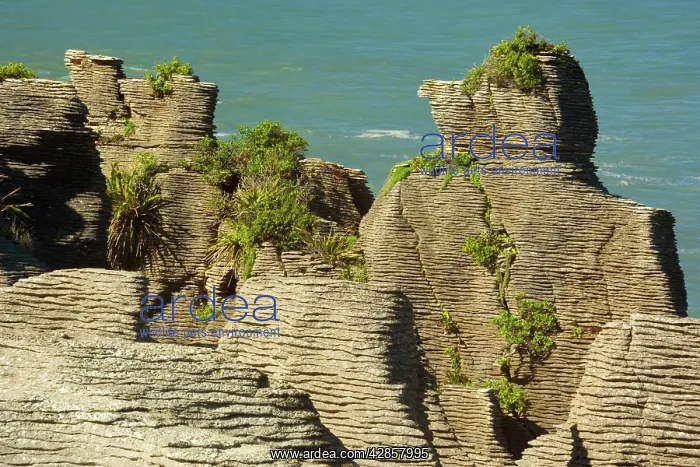 : Pancake Rocks - famous flat limestone rock formations : Pancake Rocks - famous flat limestone rock formations