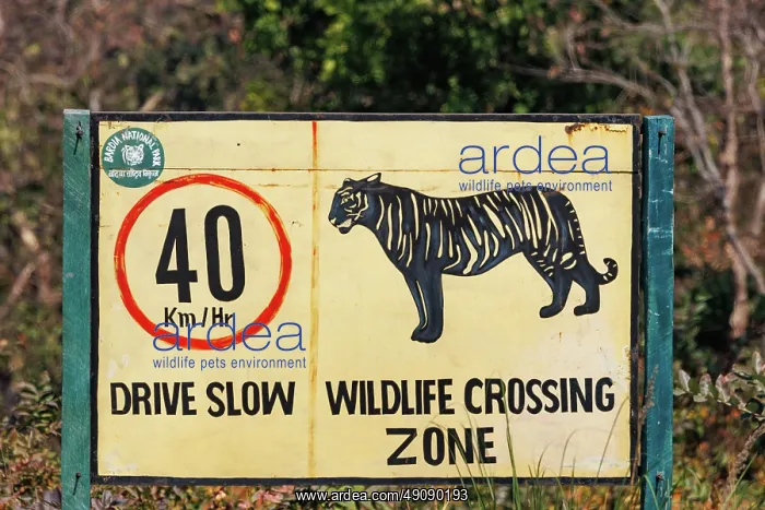  : Panneau routier pour le tigre