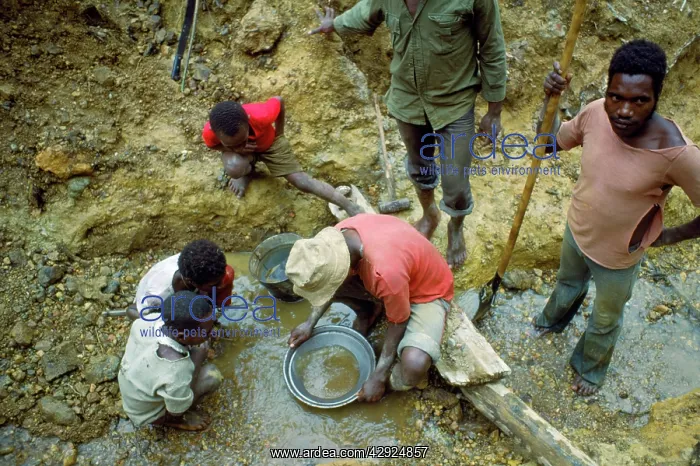  : Panning for Gold