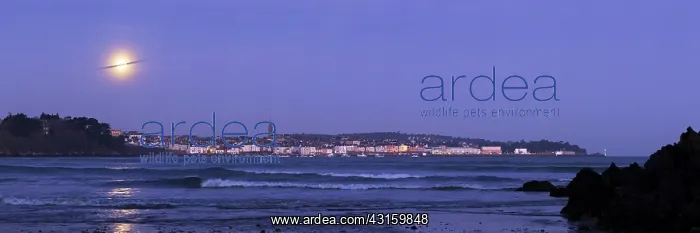 : Panorama of 11 photos : Panorama of 11 photos
