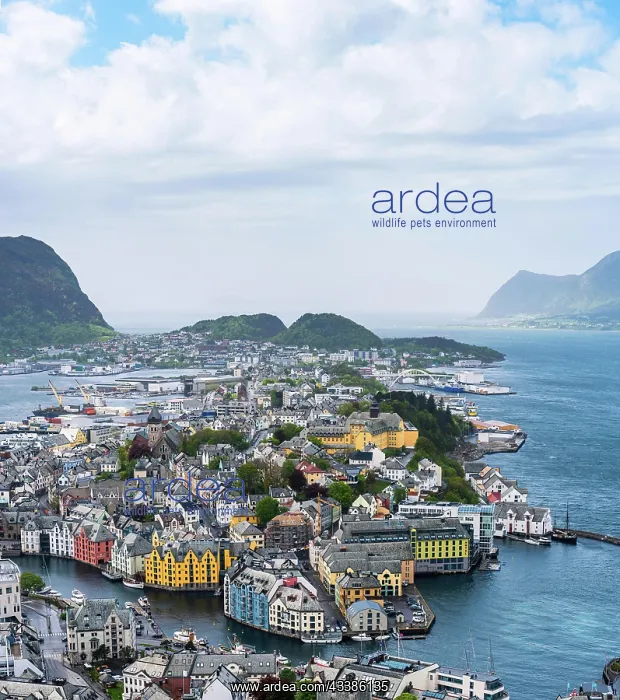 : Panorama of ALESUND from Byrampen Viewpoint, Gei : Panorama of ALESUND from Byrampen Viewpoint, Gei
