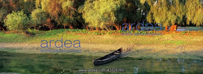 : Panorama of Channel in the Danube Delta : Panorama of Channel in the Danube Delta