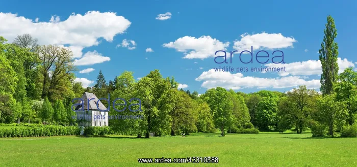 : Panorama, Goethe's Garden House in the Park an : Panorama, Goethe's Garden House in the Park an