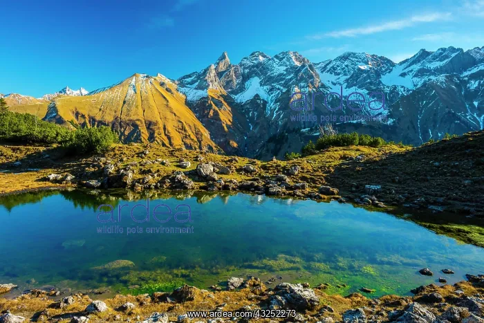 : Panorama from Gugger See, Central Main Ridge of : Panorama from Gugger See, Central Main Ridge of